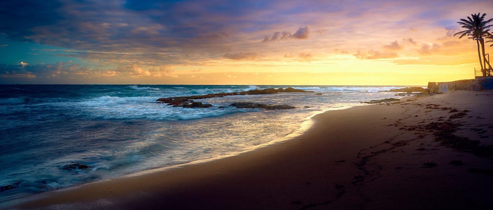 San Juan coastline at golden hour with waves breaking over rocks and palms along the sand