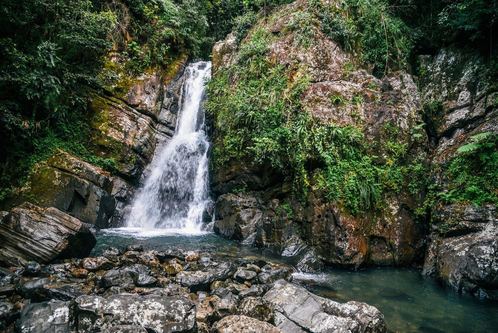 Waterfall falling into a rocky pool surrounded by rainforest greenery in Puerto Rico
